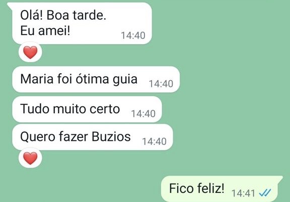 feedbacks cariofesina tour en rio de janeiro (1)