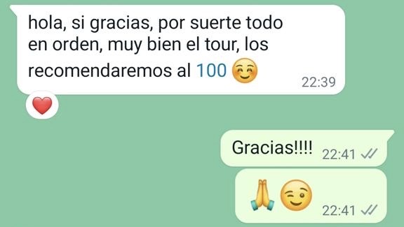 feedbacks cariofesina tour en rio de janeiro (13)