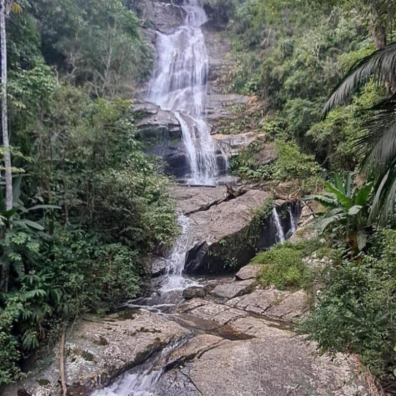 Floresta da Tijuca en Jeep
