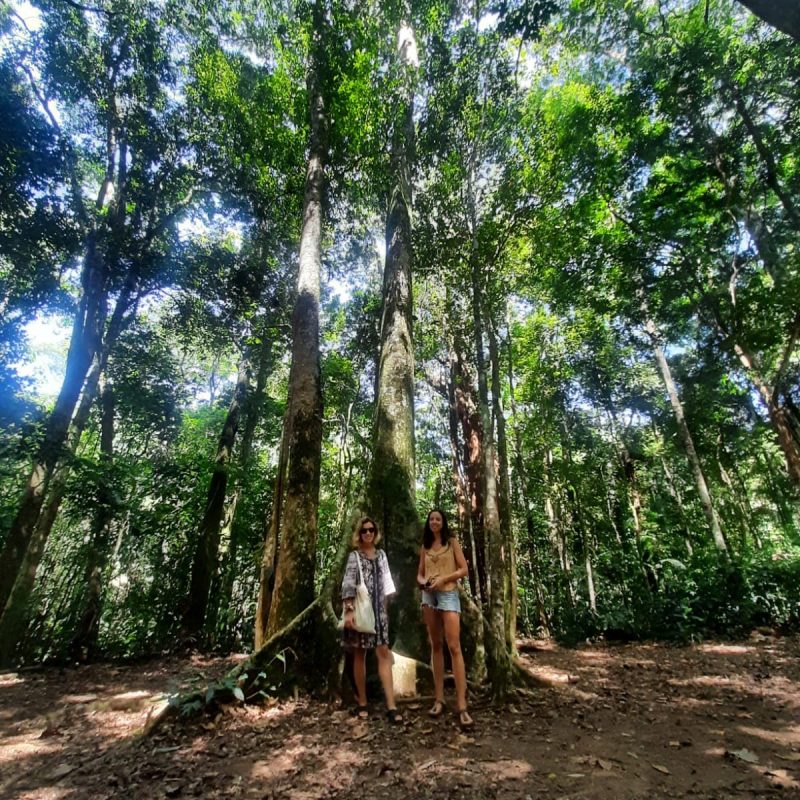 floresta da tijuca - cariofesina tour (1)