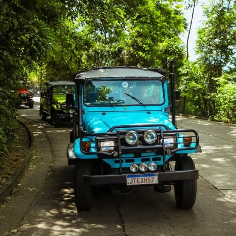 floresta da tijuca - cariofesina tour (8)