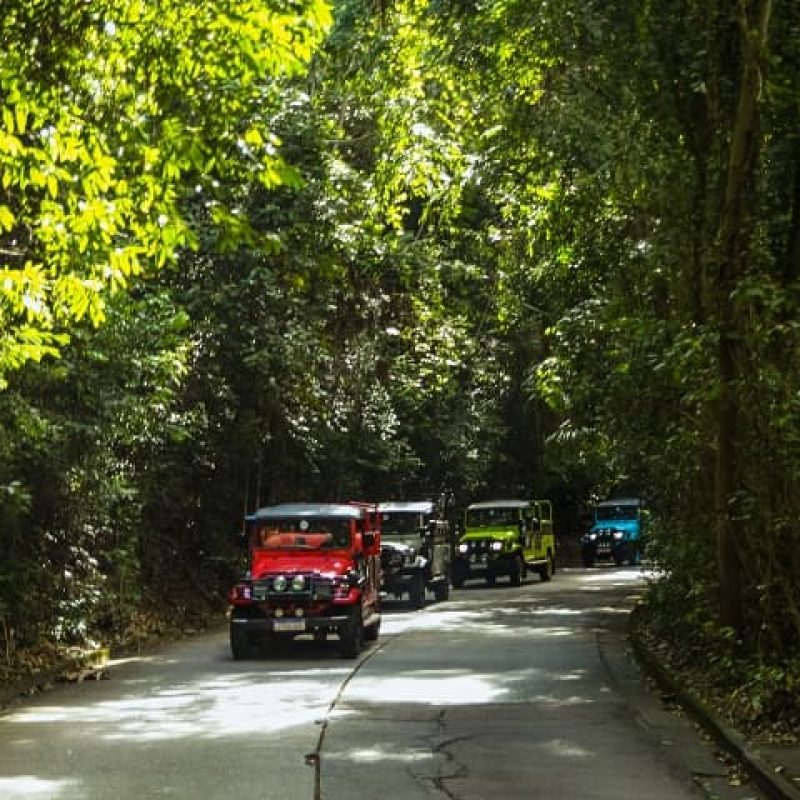 floresta da tijuca - cariofesina tour (9)